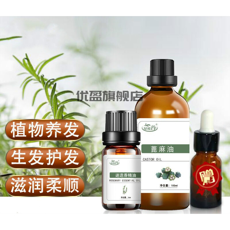 天然護(hù)發(fā)油全解析 蓖麻油、迷迭香與生姜精油如何拯救干枯毛躁發(fā)質(zhì)